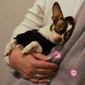 Meet your Posher, Lora